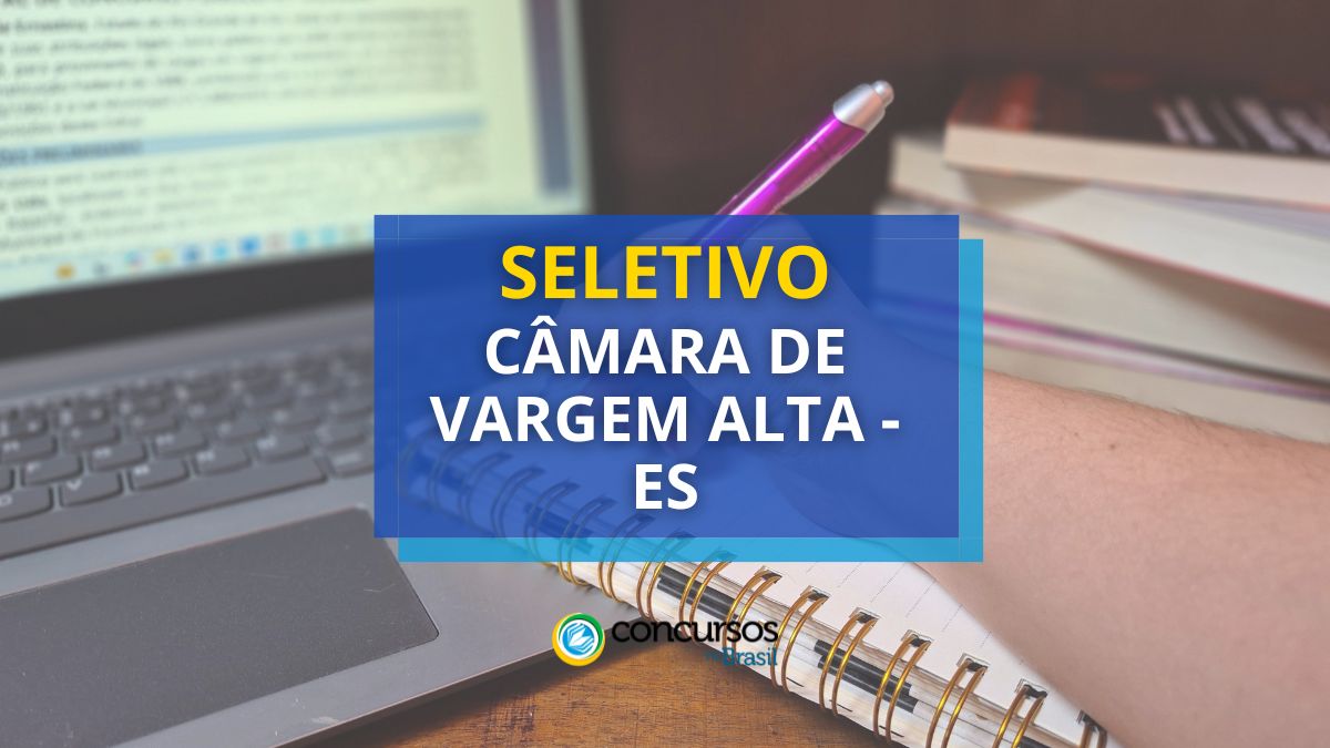 Processo seletivo Câmara de Vargem Alta - ES, Edital Câmara de Vargem Alta, Vagas de Vargem Alta, Câmara de Vargem Alta ES.