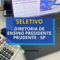 Diretoria de Ensino Presidente Prudente – SP anuncia processo seletivo