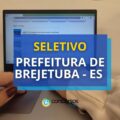 Seletivo Prefeitura de Brejetuba – ES: 211 vagas; até R$ 4 mil