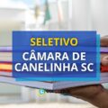 Câmara de Canelinha – SC divulga edital de processo seletivo