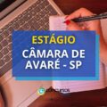 Câmara de Avaré – SP publica edital de estágio remunerado