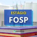 Estágio FOSP abre vagas em edital de processo seletivo