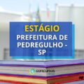 Seletivo Prefeitura de Pedregulho – SP abre 68 vagas em estágio