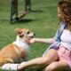 O carinho favorito dos cachorros, de acordo com a ciência