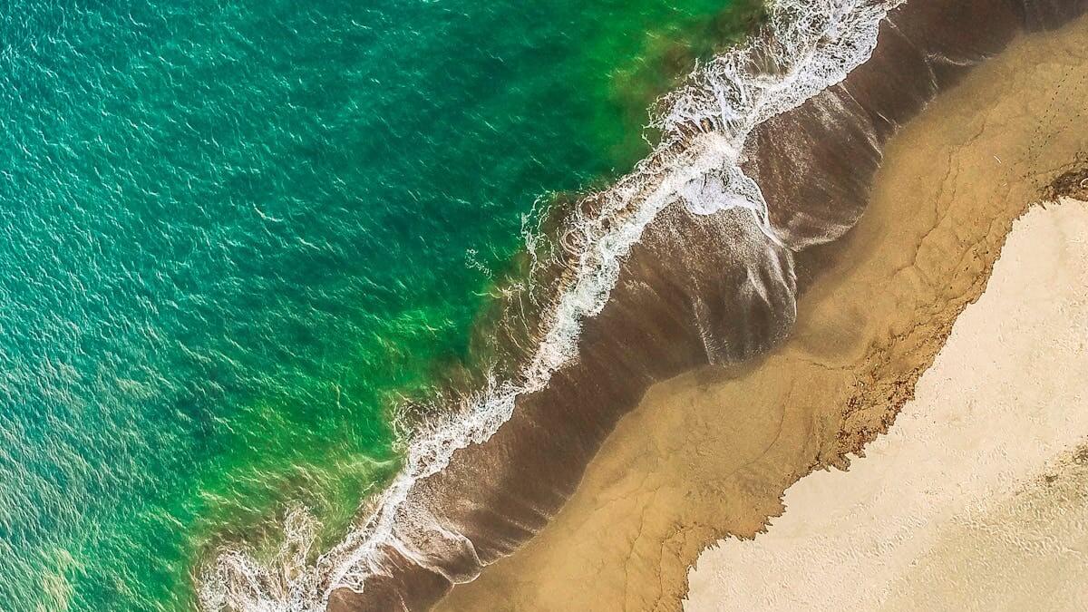 Por que os oceanos estão ficando verdes, por que a água do mar fica verde, por que a cor do mar muda, qual é a situação atual dos oceanos.