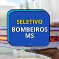 Bombeiros MS abre 10 vagas em edital de seleção; até R$ 13 mil