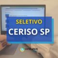 CERISO – SP abre vagas com salário de R$ 3,5 mil em seletivo