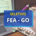 FEA – GO publica edital de processo seletivo para Professores
