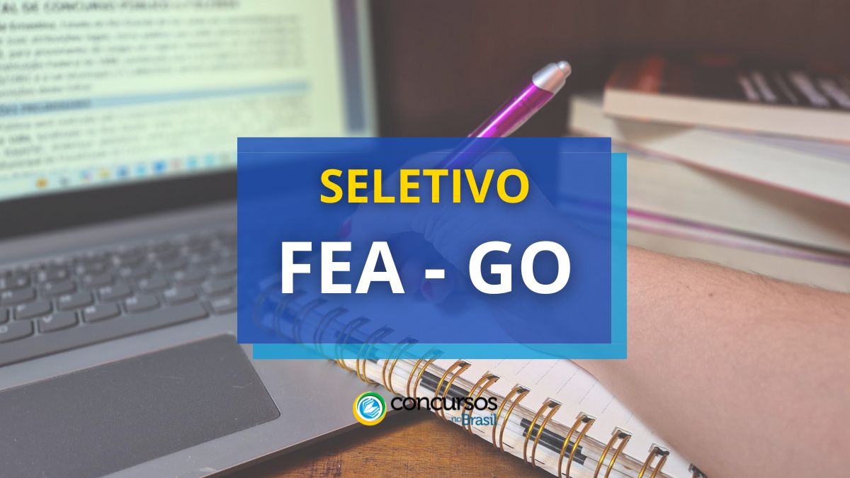 Processo seletivo FEA - GO, Edital FEA GO, Vagas FEA GO, FEA GO, Fundação Educacional de Anicuns. 