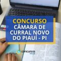 Concurso Câmara de Curral Novo do Piauí – PI: edital e inscrição