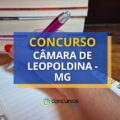 Concurso Câmara de Leopoldina – MG paga até R$ 3,9 mil