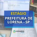 Prefeitura de Lorena – SP abre estágio para técnico e superior