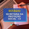 Secretaria da Proteção Social – CE divulga edital de estágio