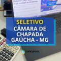 Câmara de Chapada Gaúcha – MG publica vagas em seleção