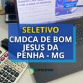 Bom Jesus da Penha – MG abre seleção para Conselheiro Tutelar