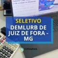 Demlurb de Juiz de Fora – MG publica editais de seleção