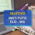 Instituto Elo – MG publica novos editais de processo seletivo