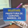Prefeitura de Coronel Barros – RS: seletivo para Professor