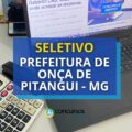 Prefeitura de Onça de Pitangui – MG abre vagas; até R$ 17,9 mil