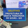 Prefeitura de Santa Terezinha de Goiás – GO: 458 vagas em seletivo