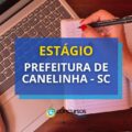 Prefeitura de Canelinha – SC divulga edital de estágio remunerado