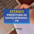 Prefeitura de Mangueirinha – PR lança seletivo de estágio