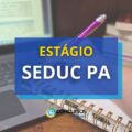 SEDUC PA divulga estágio para bolsistas de nível superior