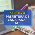 Prefeitura de Canarana – MT abre seletivo para diversas áreas