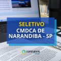 CMDCA Narandiba – SP: seletivo abre vagas para o Conselho Tutelar