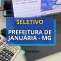 Prefeitura de Januária – MG abre processo seletivo; até R$ 3,7 mil