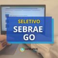 SEBRAE GO abre quatro editais com cargos de até R$ 8 mil