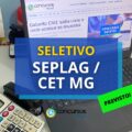 SEPLAG / CET MG: processo seletivo já tem comissão formada
