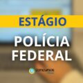 Polícia Federal abre estágio em Rondônia com bolsa de R$ 1 mil